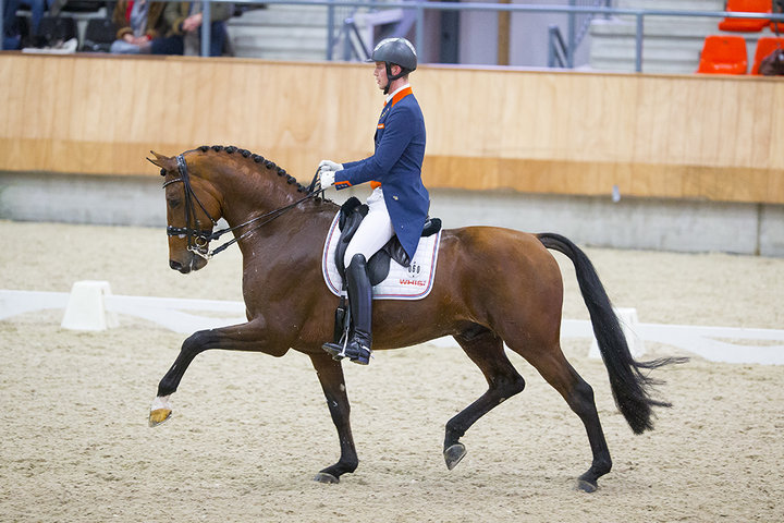 Diederik van Silfhout   Dressage NL  