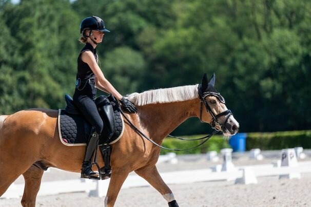 Laura Hendriks   Jumping NL  