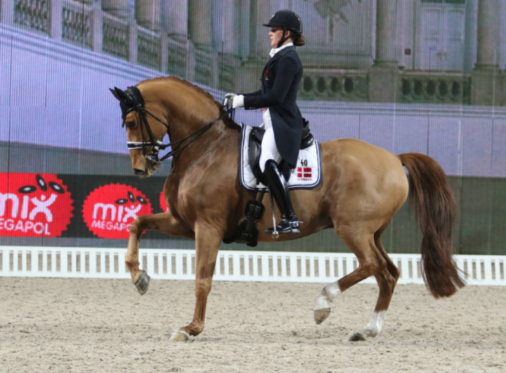 Cathrine Dufour   Dressage DK  