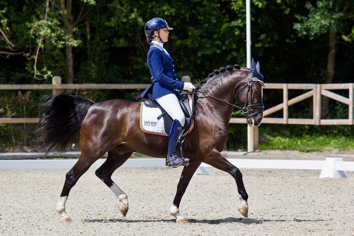 Jill Kempes   Dressage NL  